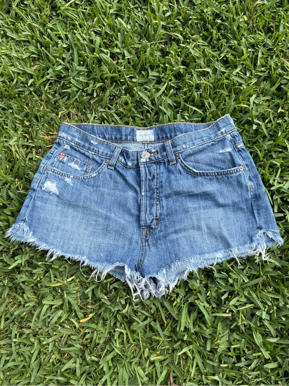 Hudson Distressed Denim Cutoff Shorts